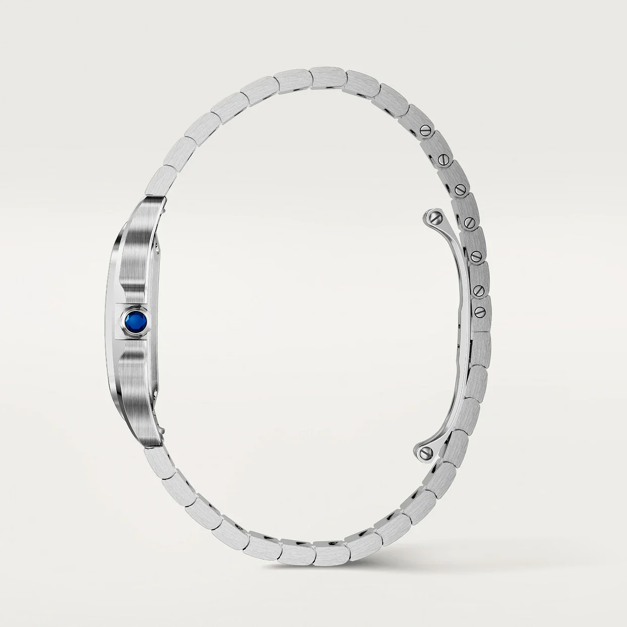 Santos de Cartier - Image 5