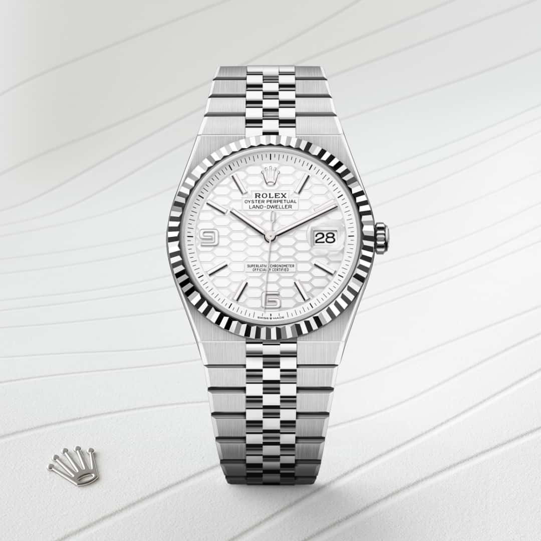 Land-Dweller 40 - Image 2